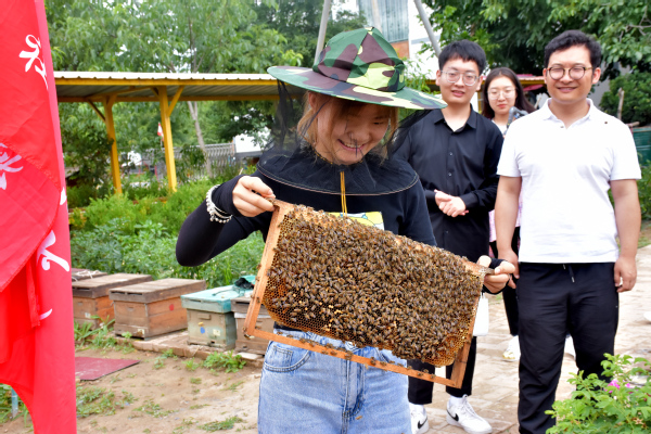 走进蜜蜂王国领略养蜂文化——经济管理学院“非遗助农产业营销”指导实践团走进农户