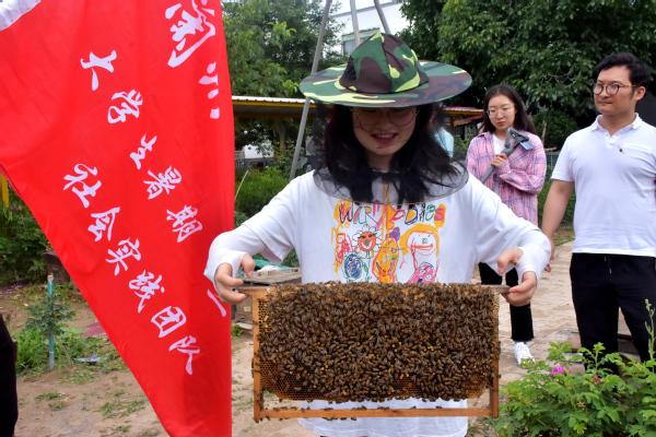 走进蜜蜂王国领略养蜂文化——经济管理学院“非遗助农产业营销”指导实践团走进农户