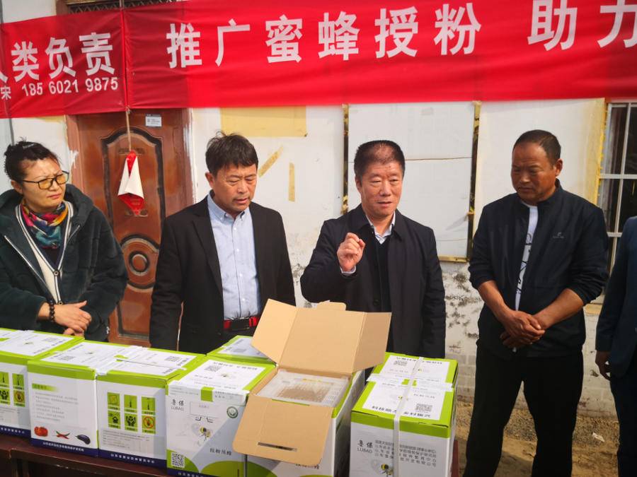 助力乡村振兴，山东省蜂业协会在曹县举办熊蜂授粉推广现场会