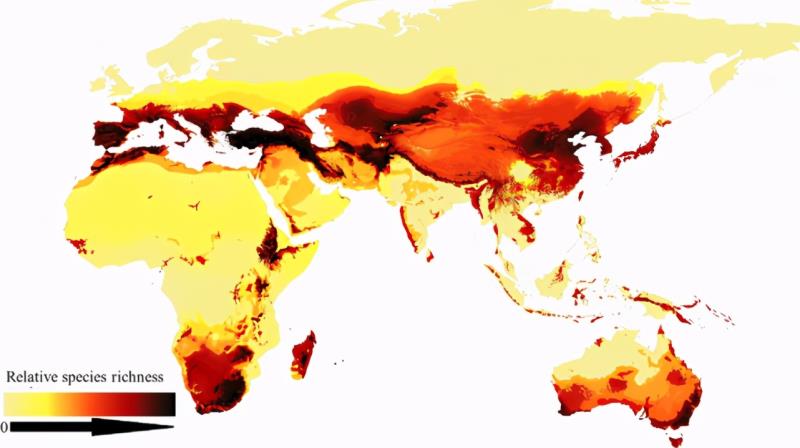 第一张蜜蜂分布世界地图公布，填补了知识空白，也让科学家吃惊了