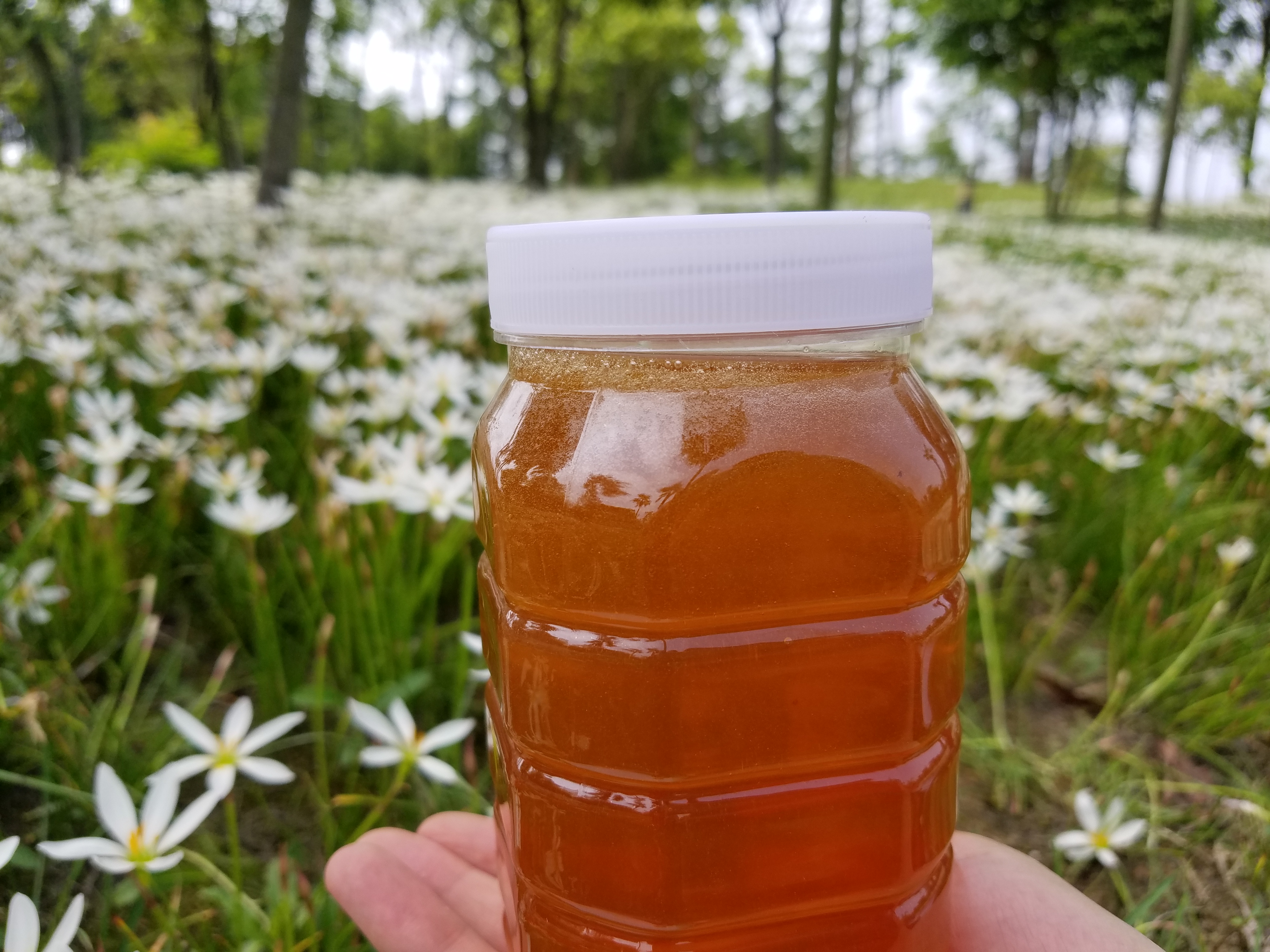 什么是多花蜂蜜（多花蜂蜜是什么意思）