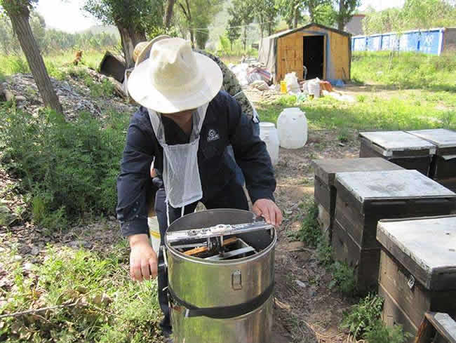 如何在有子脾情况下取蜜？