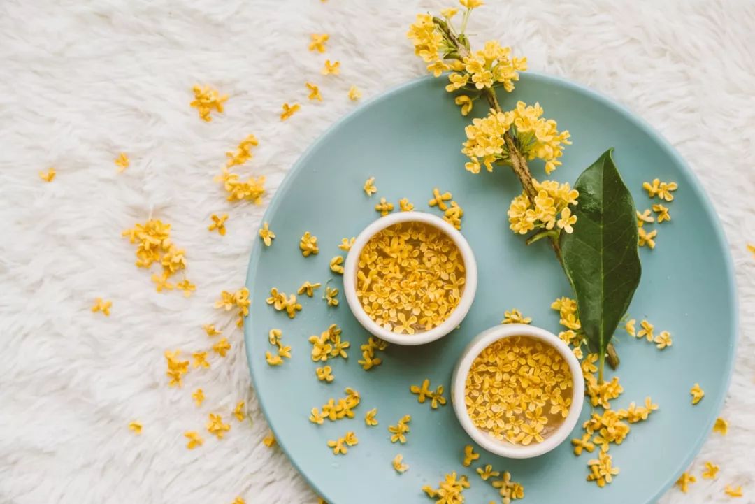 鸭脚木蜂蜜和野桂花蜜哪个好（鸭脚木花蜂蜜有什么作用）