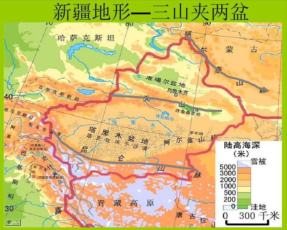 20万只粉红椋鸟驰援新疆灭蝗，护40万亩草场！蝗灾到底有多可怕？