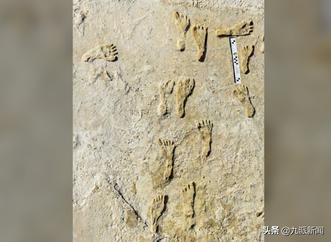 北美发现最古老人类脚印 距今约23000年 或来自最后一个冰河时代