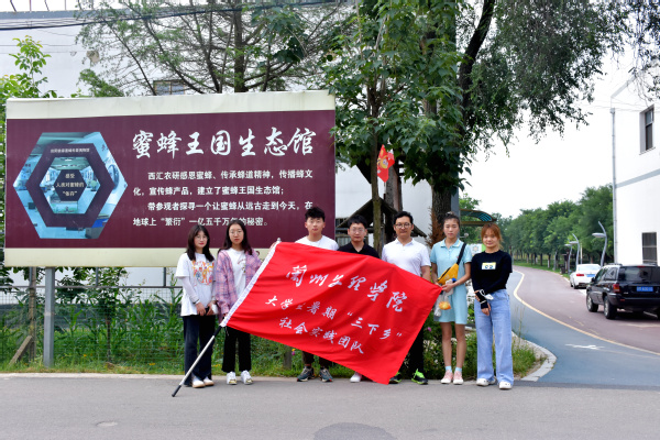 走进蜜蜂王国领略养蜂文化——经济管理学院“非遗助农产业营销”指导实践团走进农户