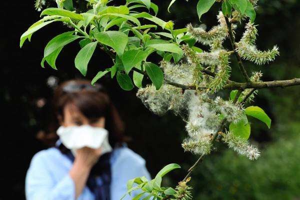 花粉过敏可以喝蜂蜜吗?花粉过敏患者不能喝蜂蜜吗?